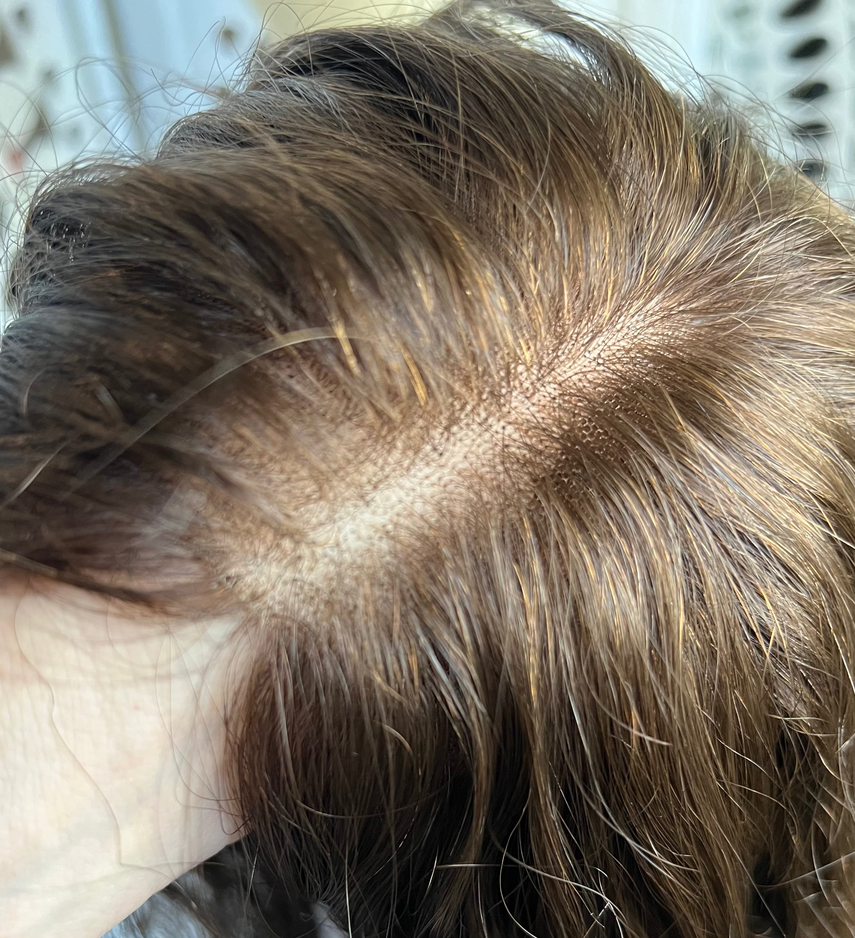 Pearl Collection no.29 Virgin Slavic Curly Topper